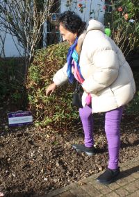 District Govenor Crocus Planting 2023